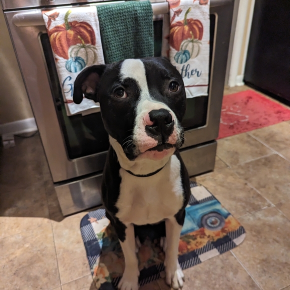 Meet your Posher, Sarah - Picture 3 of 6